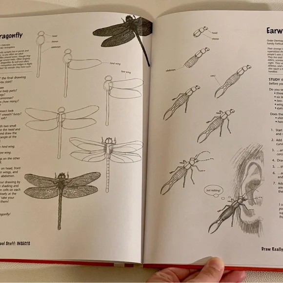 Draw Really Cool Stuff Kids Drawing Book Step by Step Hinkler Like New - Picture 9 of 16